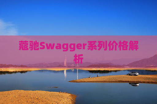 蔻驰Swagger系列价格解析